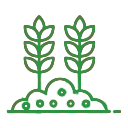Grain Processing